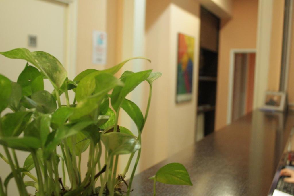 Hostal Baires Barcelona Kültér fotó